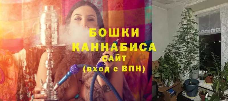 Каннабис LSD WEED  как найти закладки  Волосово 